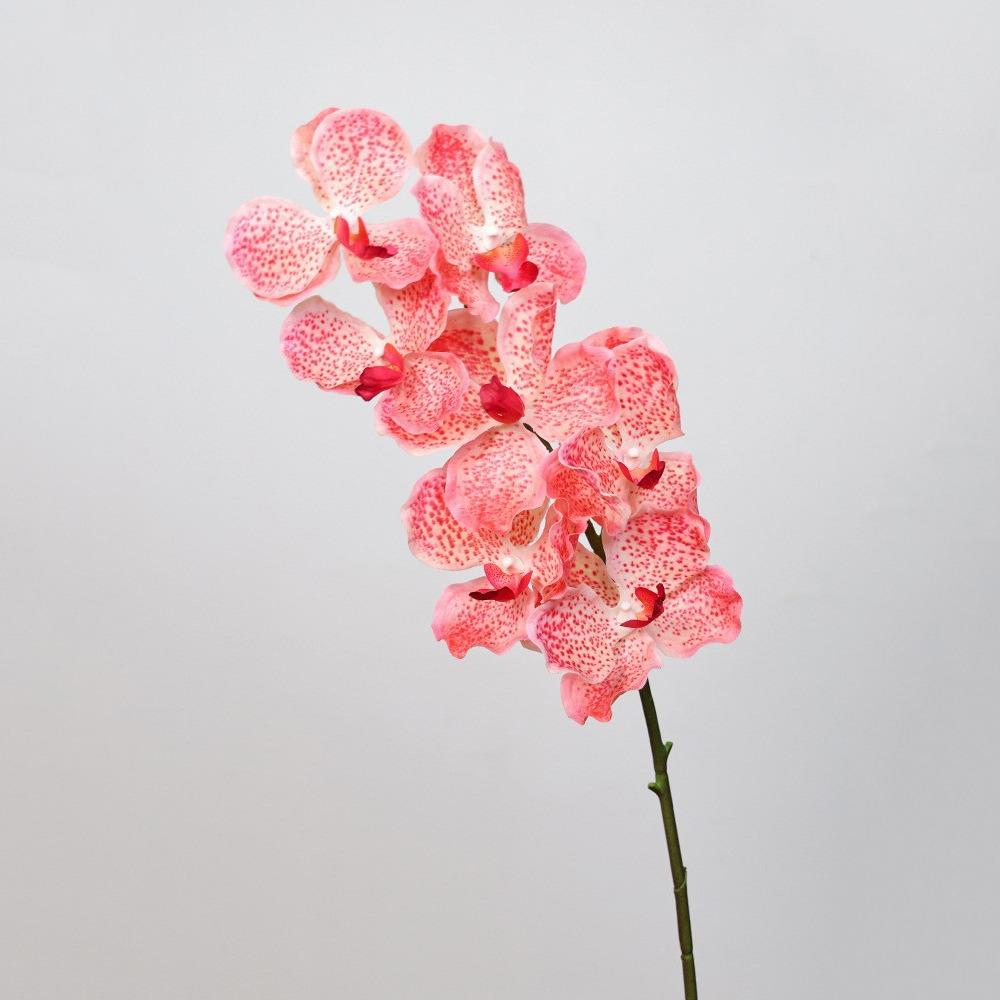Plastic Phalaenopsis Branch Moisturizing Real Touch Orchids Simulation Flower  Office Decor