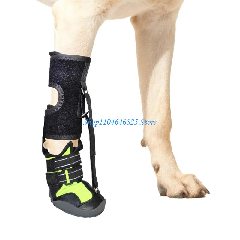 1 Pezzo Tutore per Zampe Cane che Trascina Zampe Tutore Correttivo per Cani per Sollevare in Sicurezza Dita del Piede Tutore per Piede Cadente con Bobina