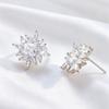 Design Sense Flower Diamond Earrings Women's High Sense Fashion Temperament Versatile Men's Niche Stud Earrings