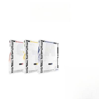 Stray Kids 1º Álbum GO LIFE (Versão A, versão B, versão C.)