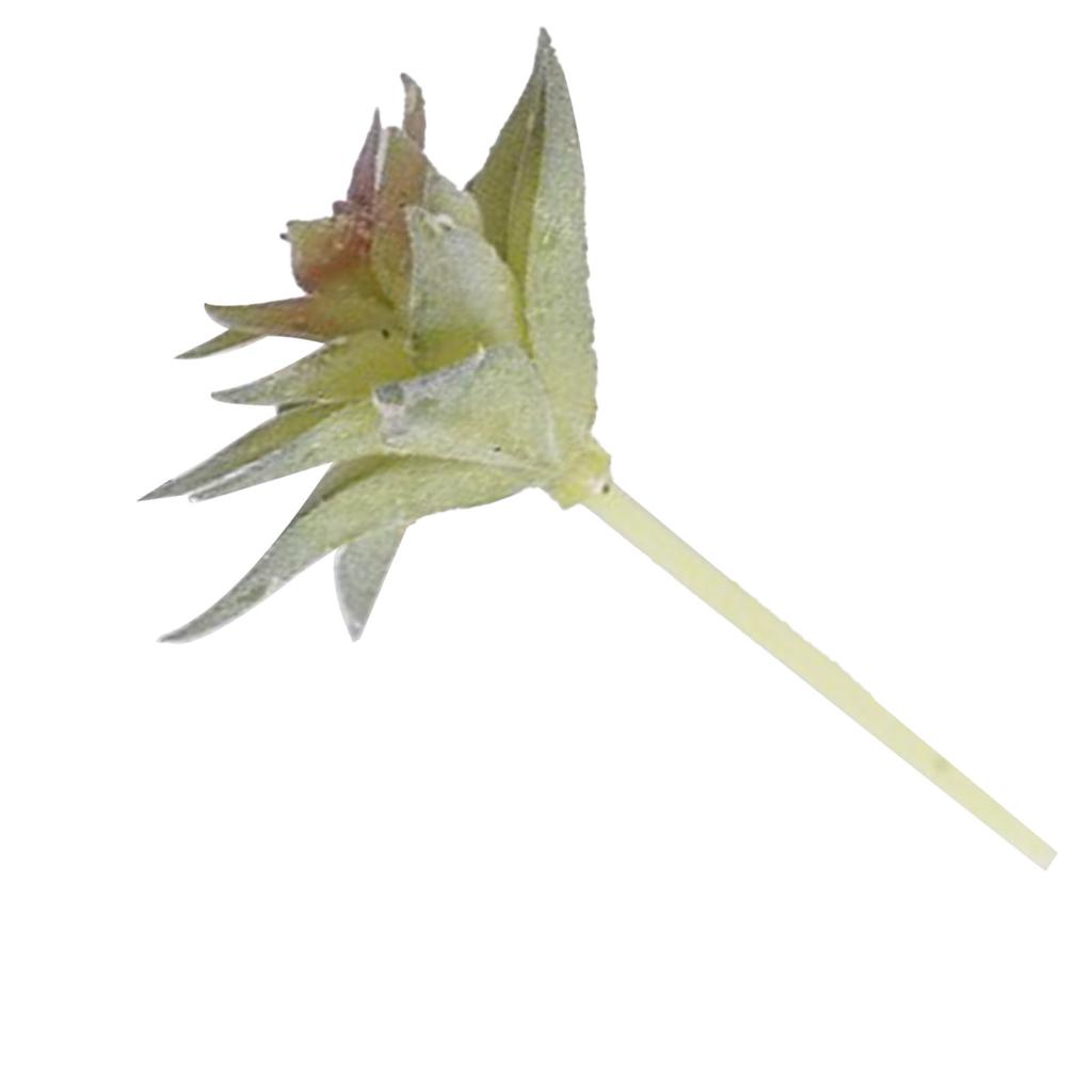 Künstliche Sukkulente Pflanze Weiches PVC Hohe Simulation Mini Kunstpflanze für Heim Büro Schreibtisch Dekoration