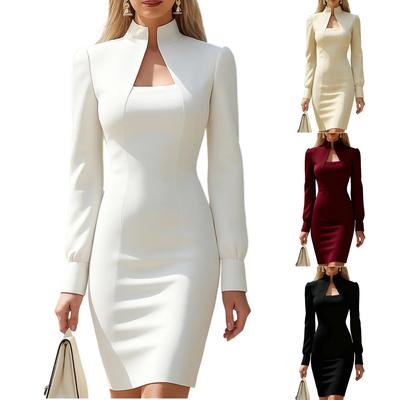 Elegantes Damen-Bankettpartykleid in Unifarbe mit hohem Kragen und langen Ärmeln, figurbetont
