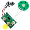 30-Second Recording Module for DIY Greeting Card (FLR100A)