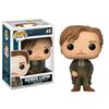 Figurky Funko Pop! Harry Potter: Remus Lupin