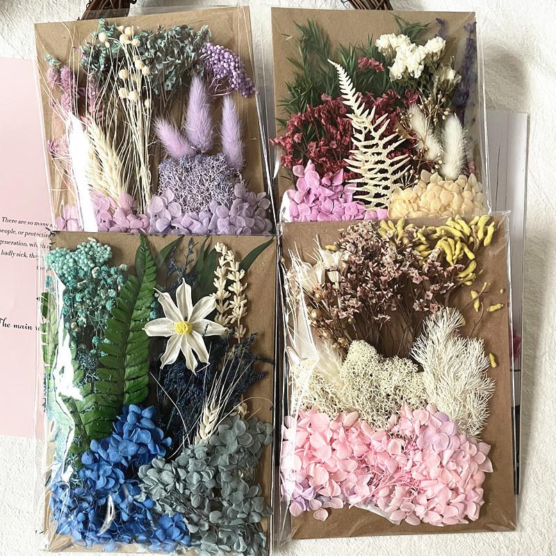 Exquisite Eternal Dry Flower Ancient Style Group Fan Material Pack for Children's Handmade Exclusive Decoration Dried Flowers