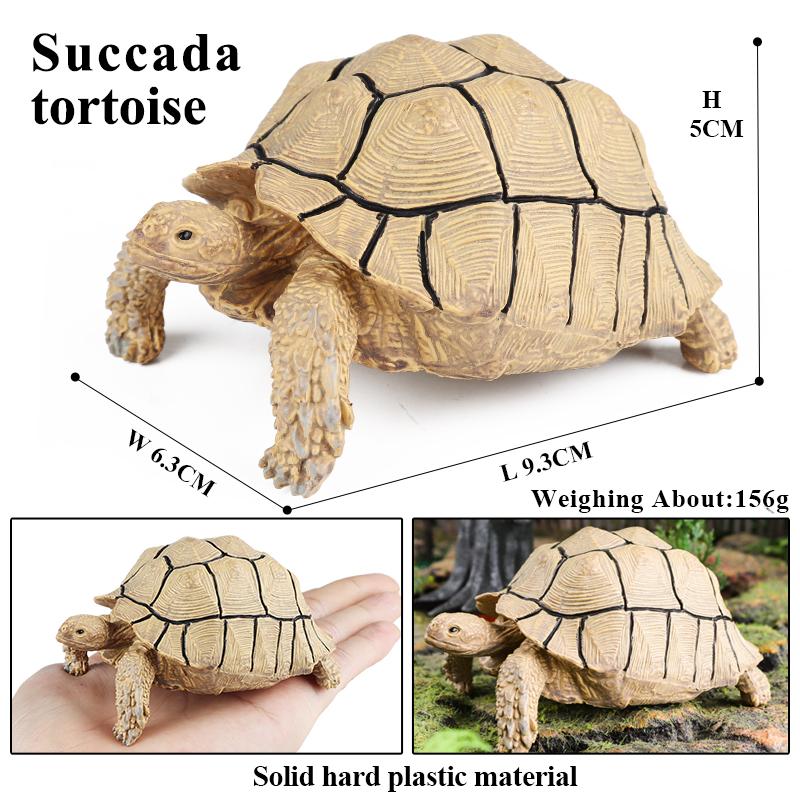 Oenux Sea Life Animals Model Leatherback Tortoise Turtle Growth Cycle Ocean Figurines Action Figures PVC Collection Kid Toy Gift