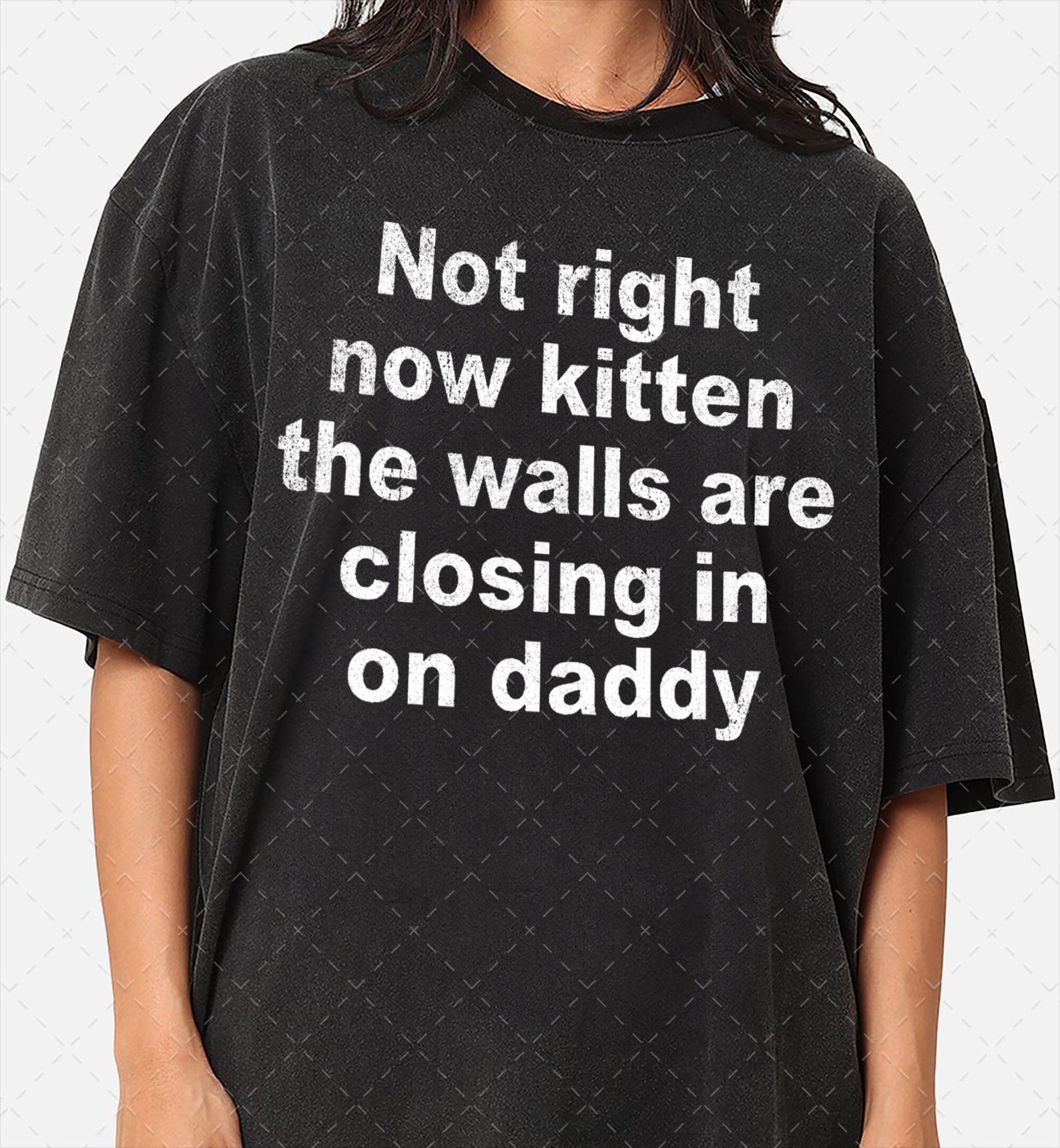 Not Right Now Kitten Daddy Graphic Tee, Vintage Washed Cotton Shirt L