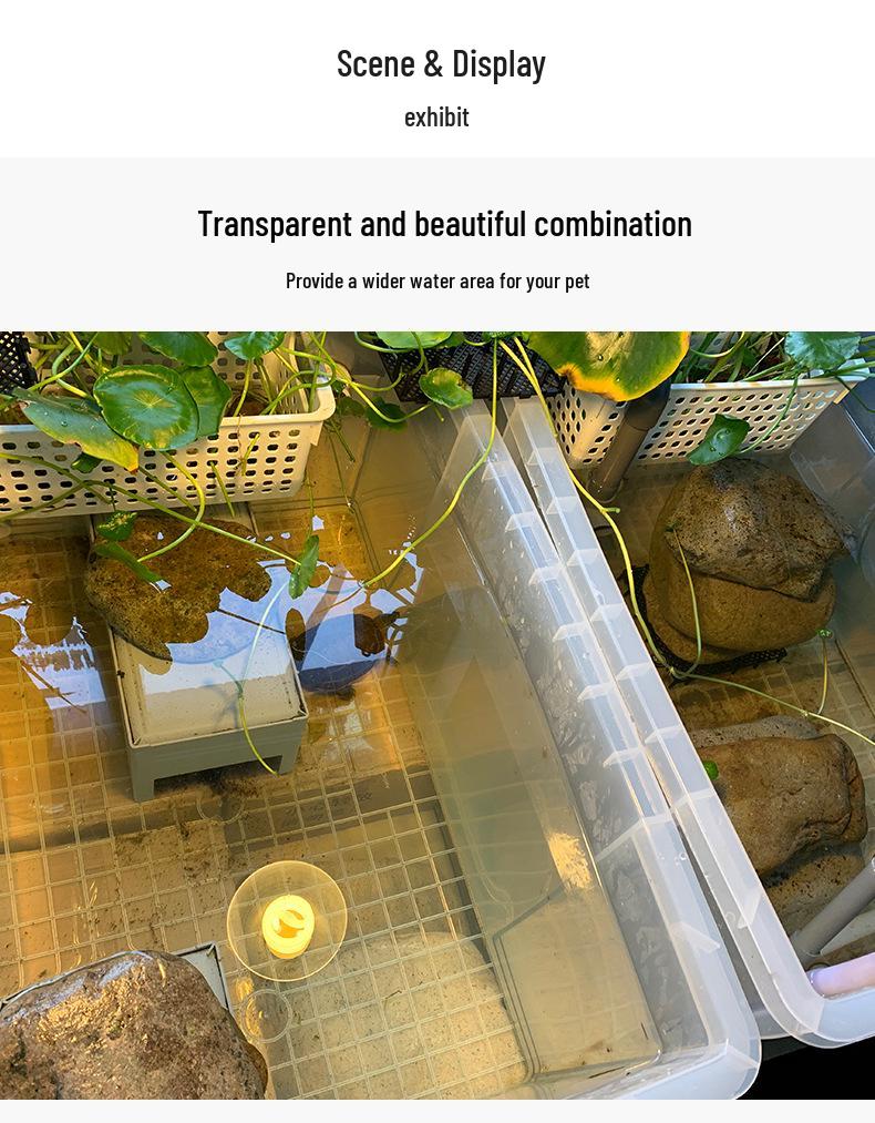 Turtle Tank with Drainage Hole - Transparent Breeding & Storage Box, Small/Large Size for Home Use