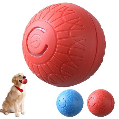 Cães – Brinquedos para cães