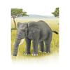Takara Tomy AniA AL-26 African Elephant Animal Toy for Ages 3 and Up
