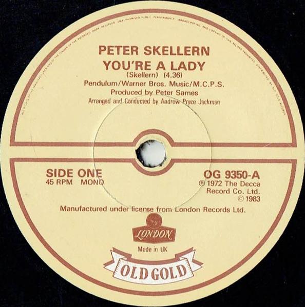 

7inch Record PETER SKELLERN Youre A Lady Hold On To Love OG9350 Old Gold 1983 UK Rock Used