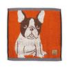 Marushin Wonderful Peace Love Eyes French Bulldog Cute Design for Dogs and Antibacterial and 0765001200 Handkerchief, Design, Cats, Odor-Resistant,