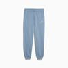 Boys' Pants Puma ESS 2 COLOR NO.1 LOGO FL Blue 68582434 R 140