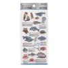 Kamio Japan 3D Adult Encyclopedia Marine Life 228131 Stickers,