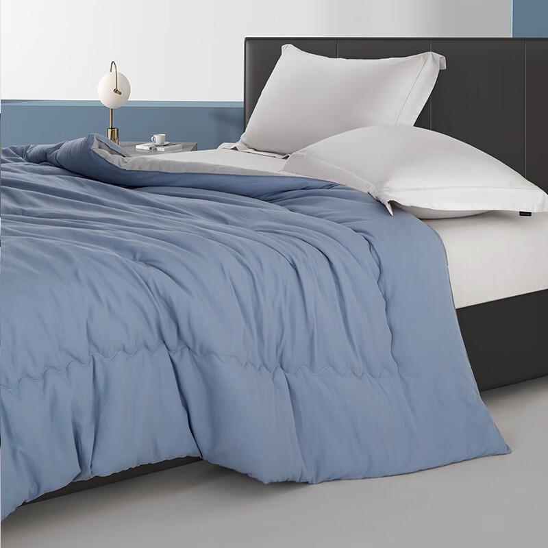 Tangna Elegant Soft Cloud All-Season Quilt