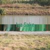 Sanjiang Dense Mesh Safety & Dust Protection Net