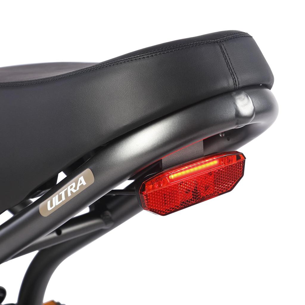 Electric Bicycle FAFREES F20 Ultra 20" 750W Motor Electric Bike Adult Top Speed 40Km/h 48V 25AH Range 140Km Load 180Kg