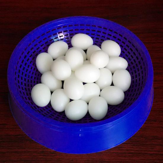Bird Nest Sturdy Construction Eco-friendly Plastic Bird Hatching Nest Parrot Nesting Box for Home