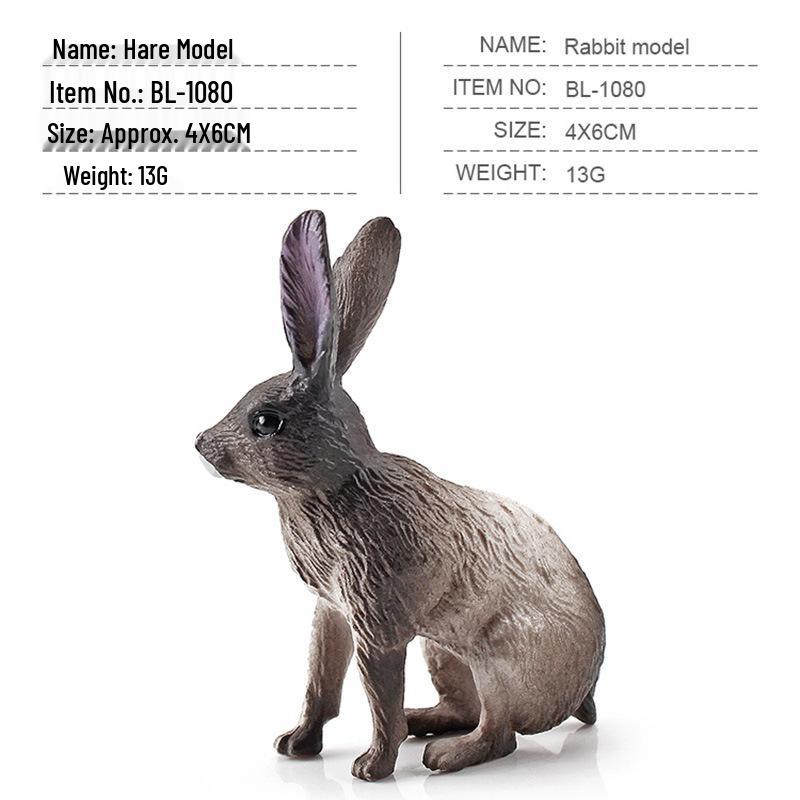 Miniature Farm Animal Models: Chickens, Ducks, Geese, and Cows