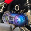 Pigmenti Camaleonte Verniciatura Auto Decorazione Polvere Acrilica Verniciatura a Polvere Moto Magica Decolorante Perlescente per Artigianato