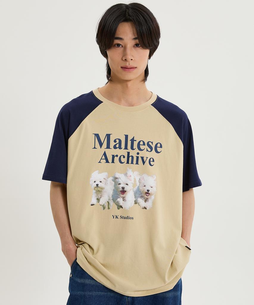 WAIKEI Maltese Archive Raglan Short Sleeve T-Shirt Light Pink