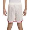 Nye Nike Dri Fit Giannis Basketballshorts Herre Seilhvit/Hvit/Hvit FZ0828-133