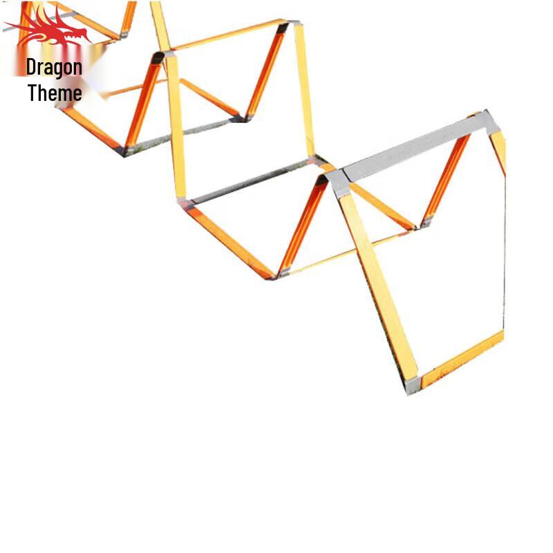 Multi-functional Agility Ladder