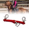 Equestrian Lunge Line for Horse Training with Heavy Duty Snap