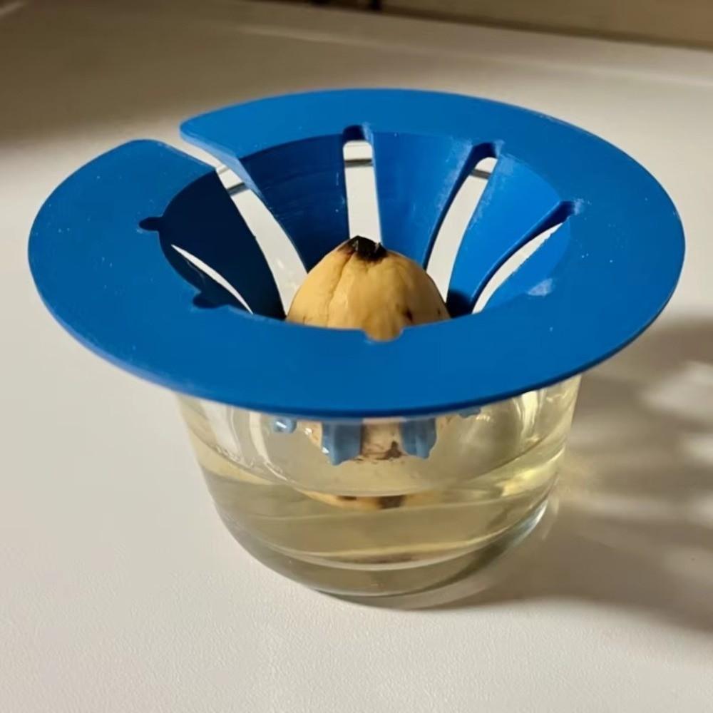 Sprouting Setup Avocado Planter Plastic Hydroponic Stand Planting Device  Plant Observation