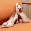 Pointed High Heels Autumn Thick Heel Medium Heel Temperament Fashionable Soft Leather French Single Shoes Not Tired Feet Women's Shoes