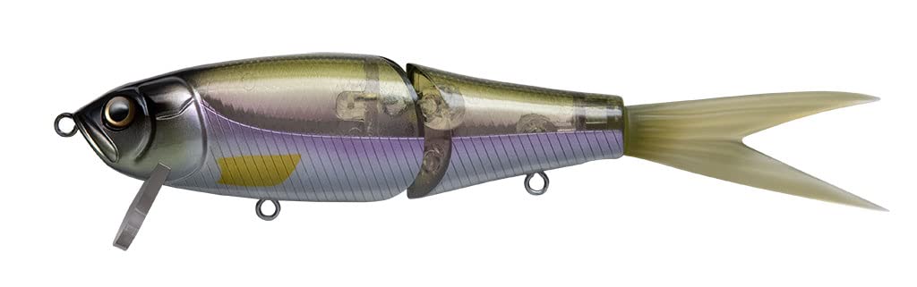 Fish Arrow Riser Jack JR Biwasagi 190mm #07