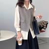 Fashion Sleeveless Jacket Vest for Women, Elegant Short Coat  Autumn Outfit Coat