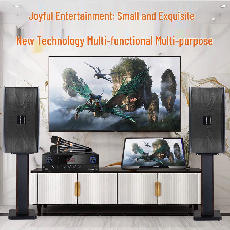 מערכת שמע מקצועית SANSUI PK06 לבית, KTV וכנסים (גרסת CN)