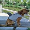 Pet Swimsuit with Easy Open Close Touch Fasteners High Buoyancy Dog Life Jacket