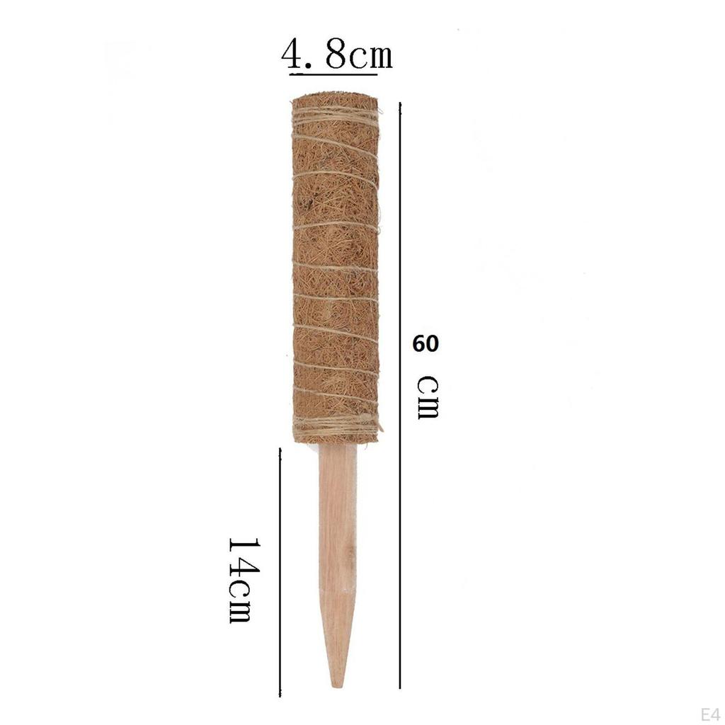 Pole Extension Climbing Support for Indoor Potted S