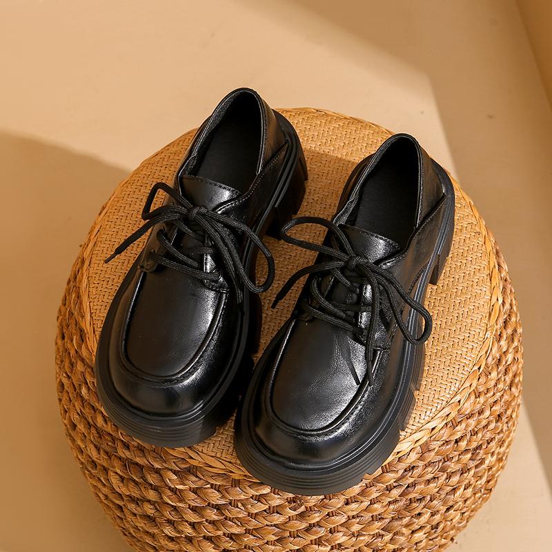 Fashion Spring New Thick Heel Shoes Women's Fashion Round Head Deep Mouth Front Lacing Platform Non-slip High Heels