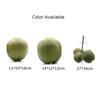 Simulation Coconut Plastic Fake Coconut Fruit Vegetable Model Photography Display Early Education Toy Hainan Scene Decoration