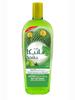 Cactus Anti-Hair Fall Oil (180 mL) | Natural Extracts of Cactus, Olive and Cumin | Promotes Strong and Smooth Hair | Suitable for All Hair Types