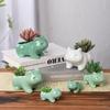 Ceramic Cartoon Animal Succulent Pots: Frog & Bulbasaur Designs