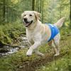 Comfort Fit Dogs Diaper High-Absorbency Pet Physiological Pants Dog Underwear  Anti-Harassment