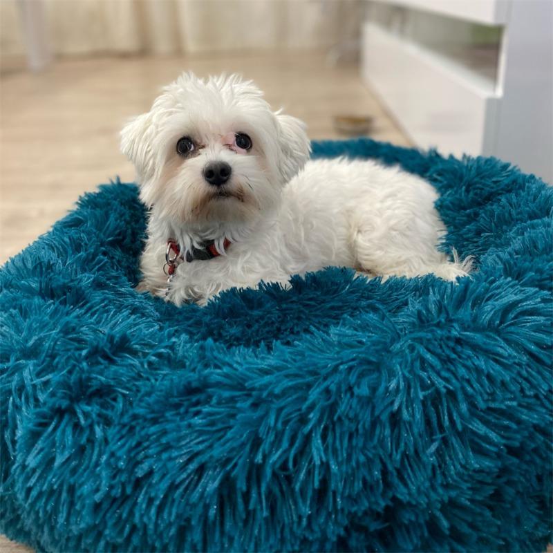 Super Soft Dog Bed Plush Cat Mat Dog Beds Round Cushion Pet Product Accessories Washable Dog and Cat Cushion Bed Winter Warm Sofa Hot Sell