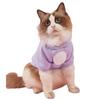 Solid Color Hairless Cat Clothes Winter Coat Pullover Style Pet Costumes Jumpsuit Design Bear Design Cat Hoodie Sweater