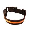 Mode LED Hund Haustier Nacht Sicherheits Halsband Blinkend Leuchtend Nylon Halsband Band
