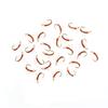 10 PIÈCES Nymphe Standard Midge pour la Pêche à la Mouche, Motif Truite pour Toute l'Année, Hameçon Doré sans Ardillon #16, Leurres d'Eau Douce pour la Pêche à la Mouche