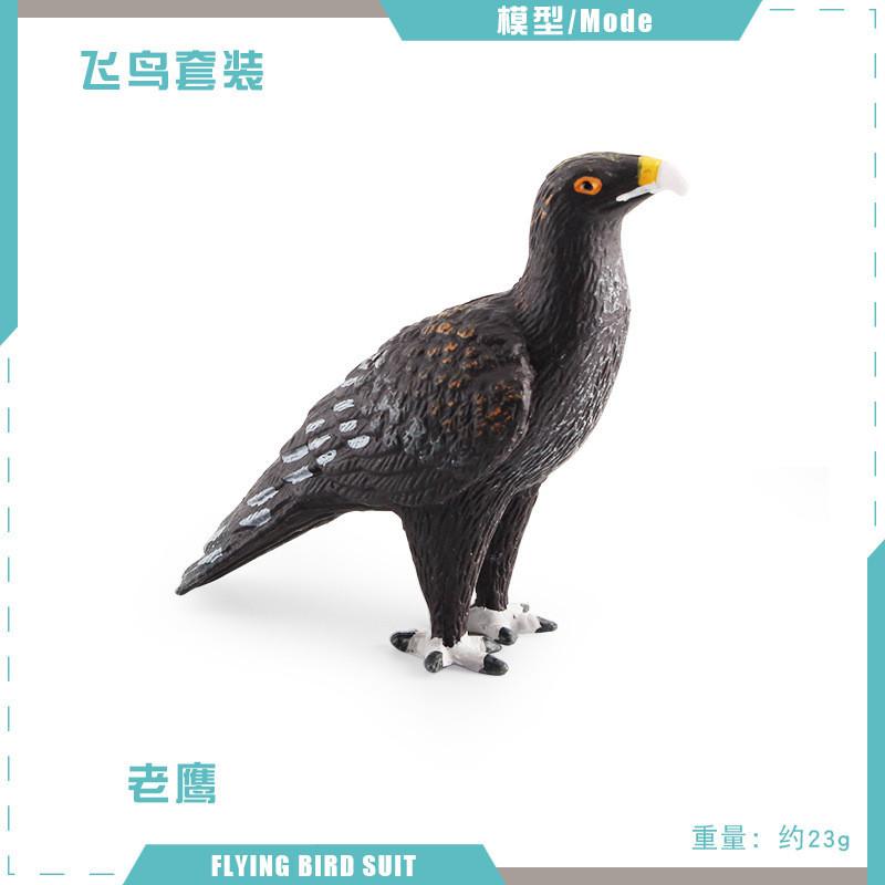 Detailed Static Pvc Bird Models Including Majestic Eagle Unique Vulture And Owl Designs