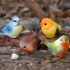 Yousheng Mini Bird Figurine Tiny Resin Bird Cake Topper Miniature Bird Animal Figure for Dollhouse Accessories Fairy Garden Plant Pot Ornaments
