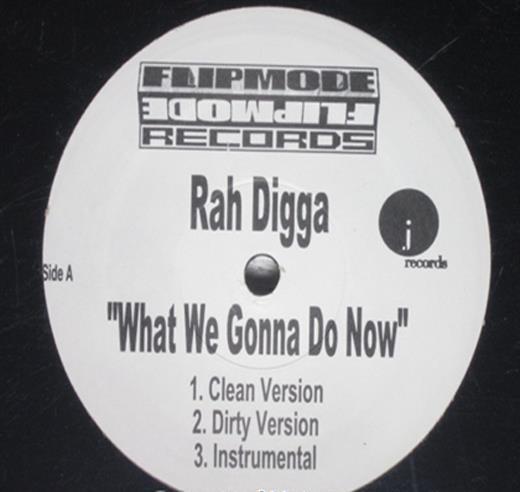 

12inch Record RAH DIGGA What We Gonna Do Now NONE 2001 US Rap HipHopRB Used