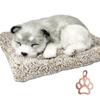 TATOTTE Dog Sewn Wrap, Realistic Sleeping Dog Figurine with Activated Charm, Soothing Decor, Includes Paw Print Charm (Husky, K)