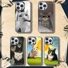 Etui do telefonów – Etui bumper