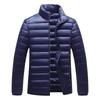 Men's Autumn and Winter New Stand-up Collar Down Cotton Clothes White Duck Down Short Thermal Jacket Men